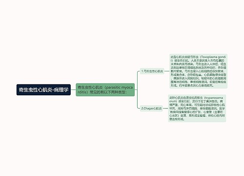 寄生虫性心肌炎-病理学