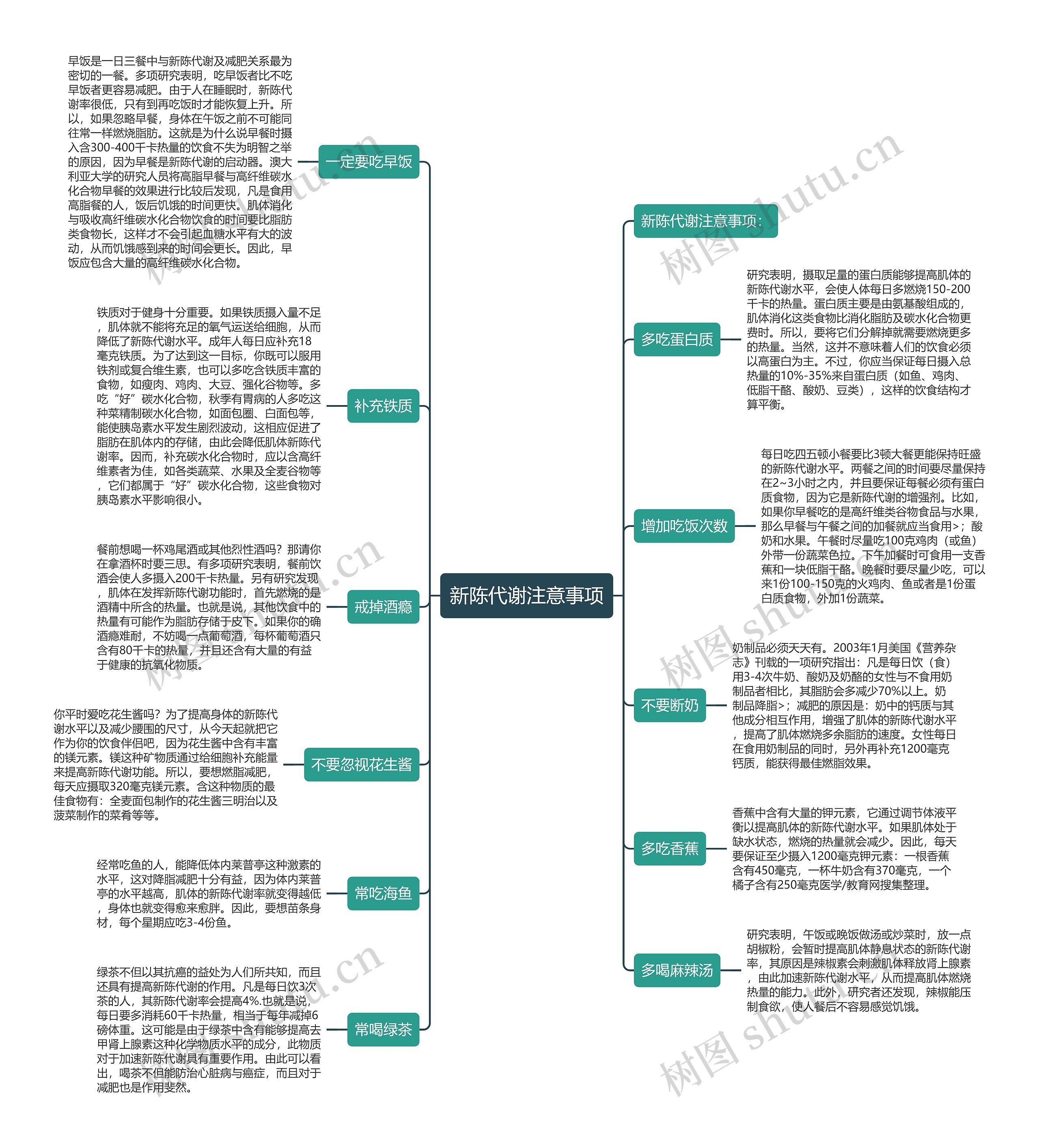新陈代谢注意事项思维导图