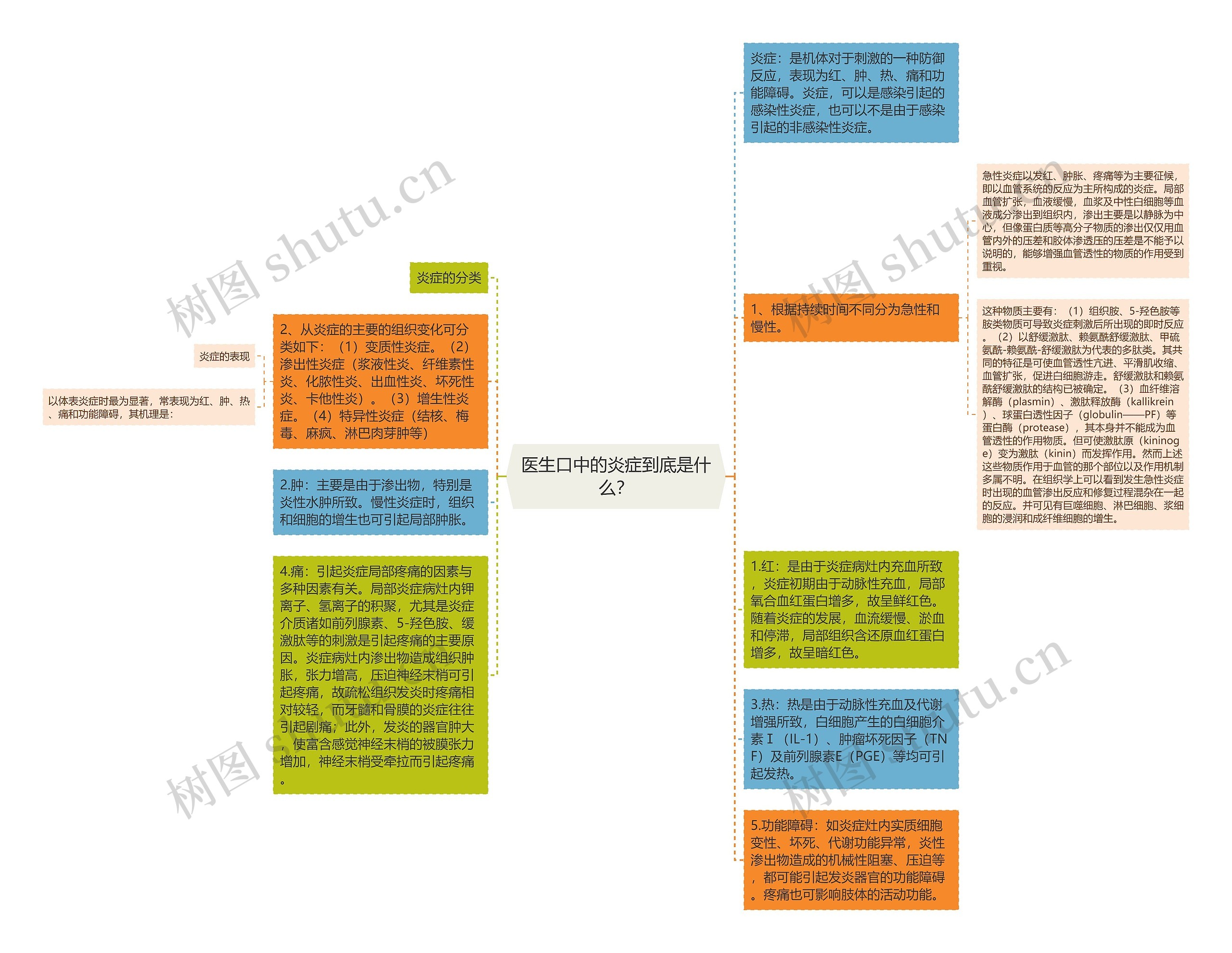 医生口中的炎症到底是什么？思维导图