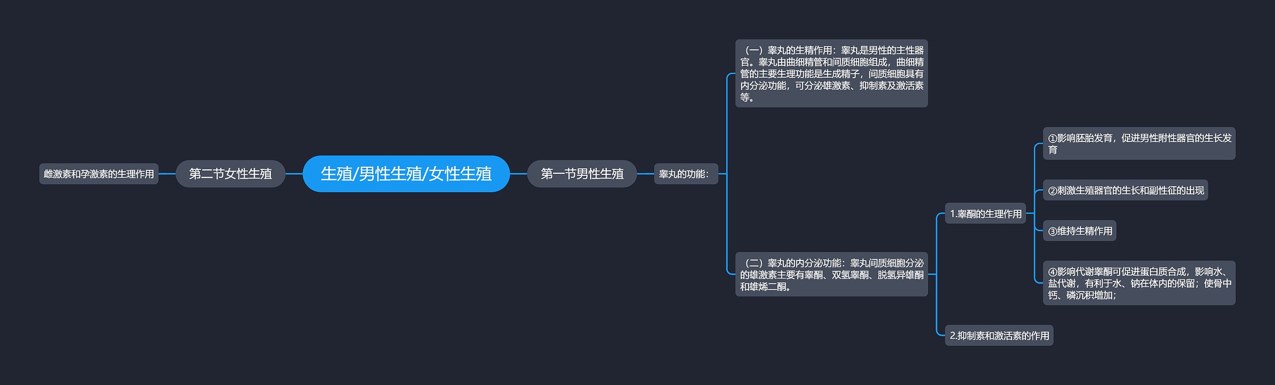 生殖/男性生殖/女性生殖 生殖/男性生殖/女性生殖