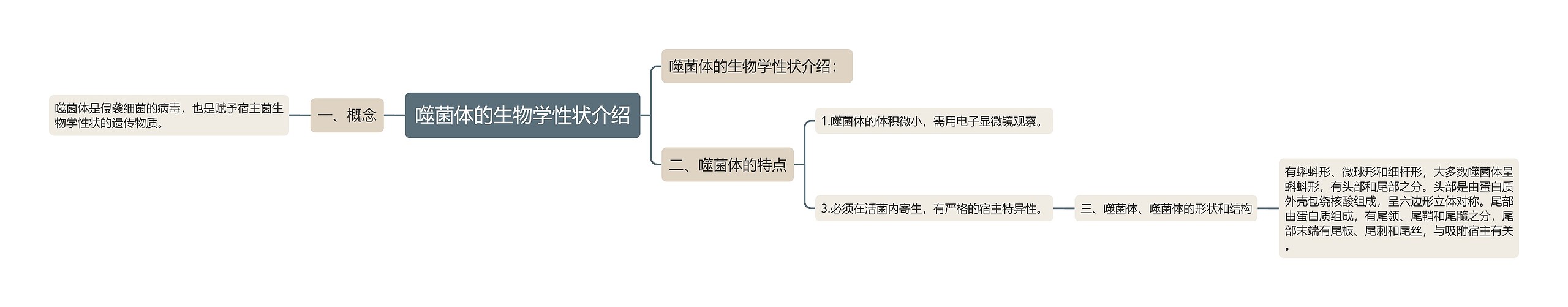 噬菌体的生物学性状介绍 噬菌体的生物学性状介绍