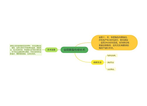 会阴撕裂伤修补术