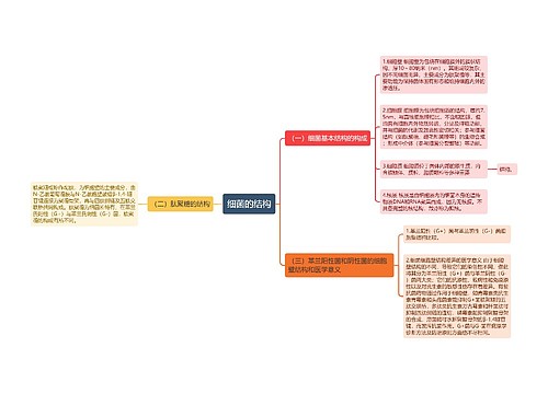 细菌的结构