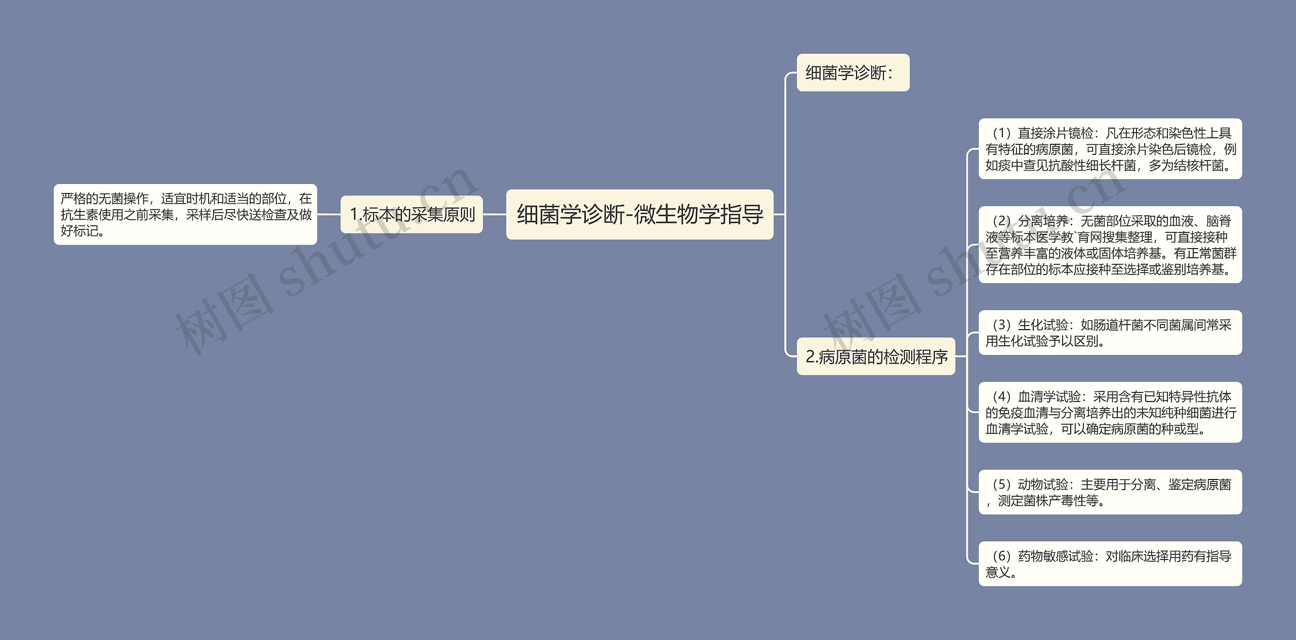 细菌学诊断-微生物学指导