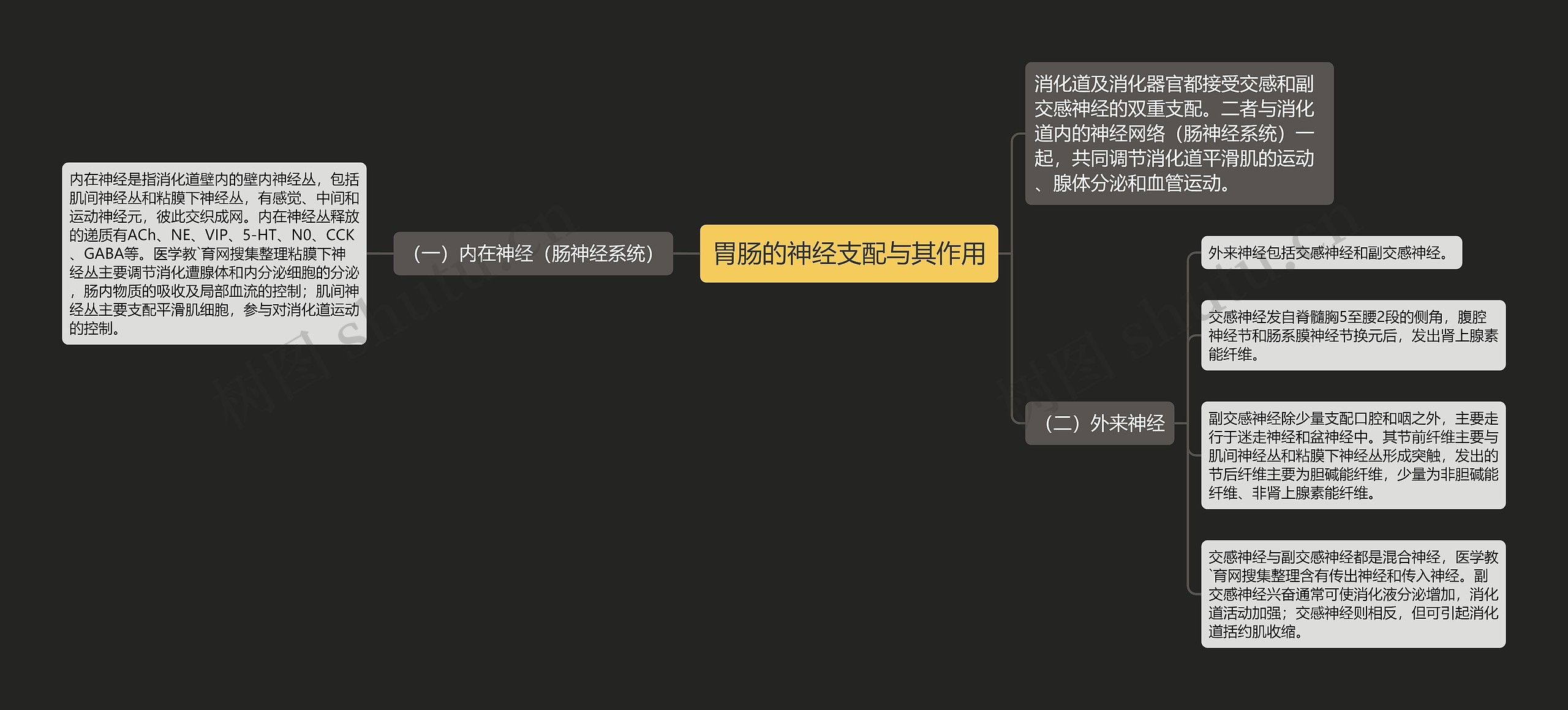 胃肠的神经支配与其作用思维导图