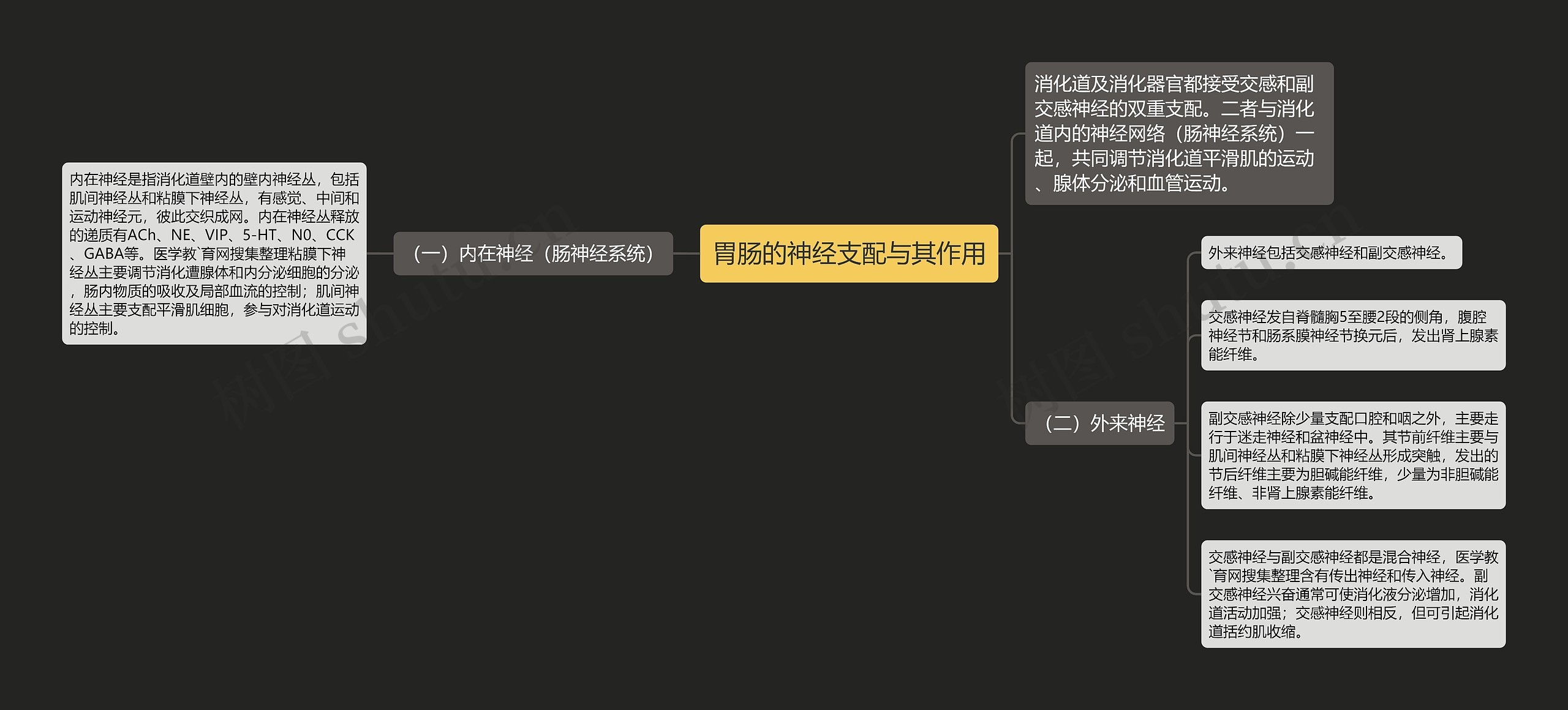 胃肠的神经支配与其作用 胃肠的神经支配与其作用