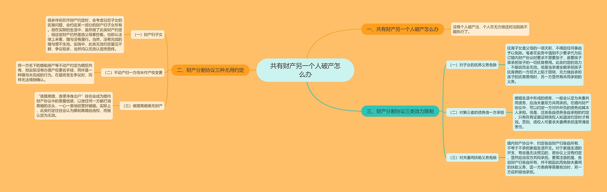 共有财产另一个人破产怎么办思维导图