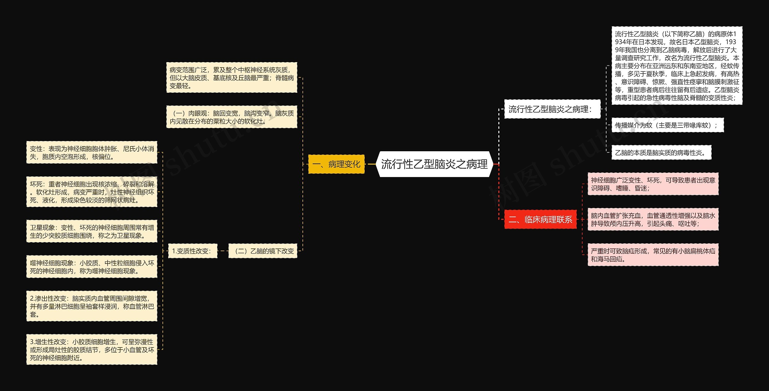 流行性乙型脑炎之病理思维导图