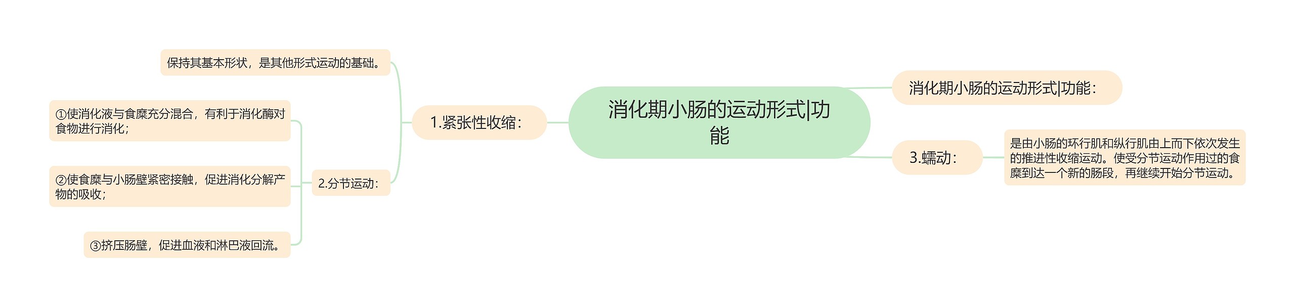 消化期小肠的运动形式|功能 消化期小肠的运动形式|功能