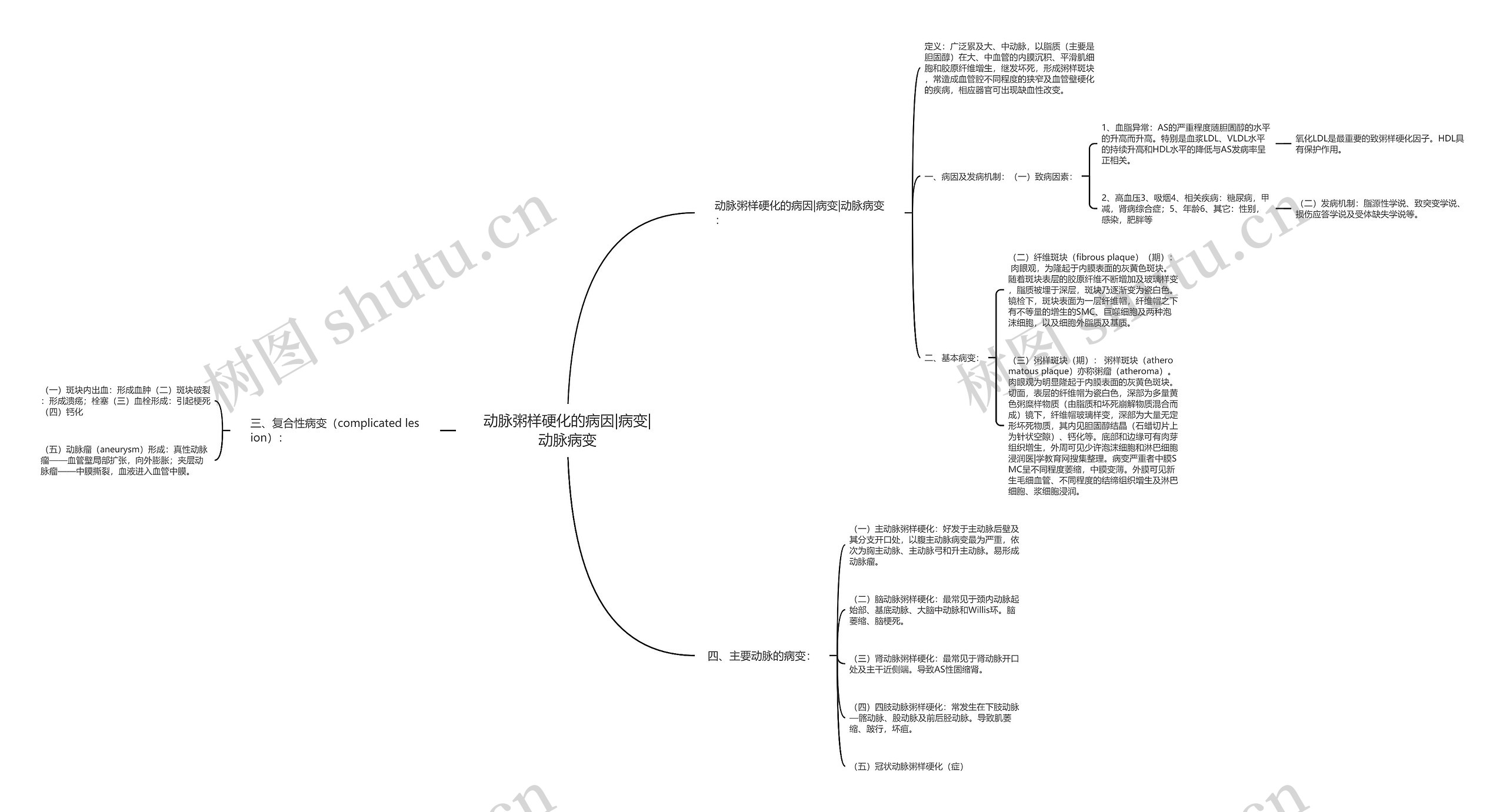 动脉粥样硬化的病因|病变|动脉病变思维导图