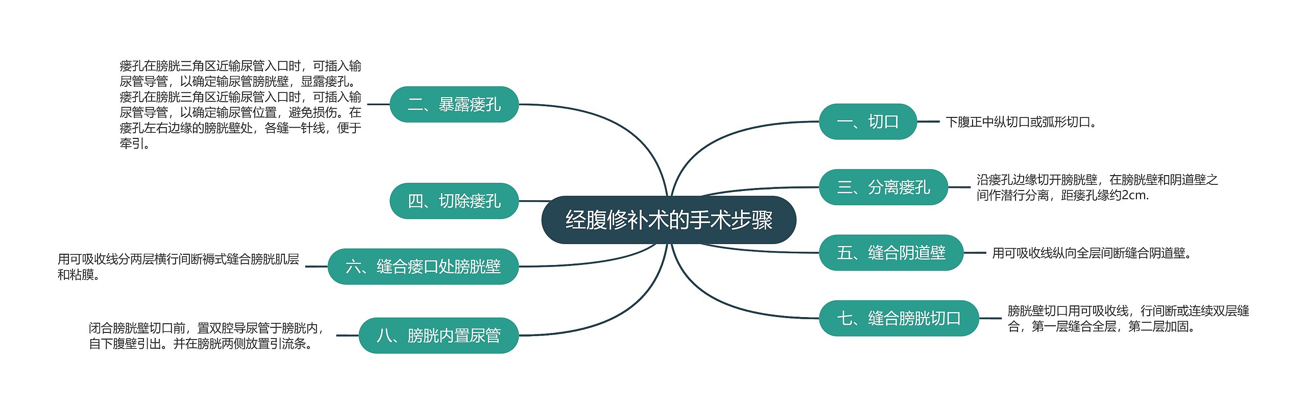 经腹修补术的手术步骤