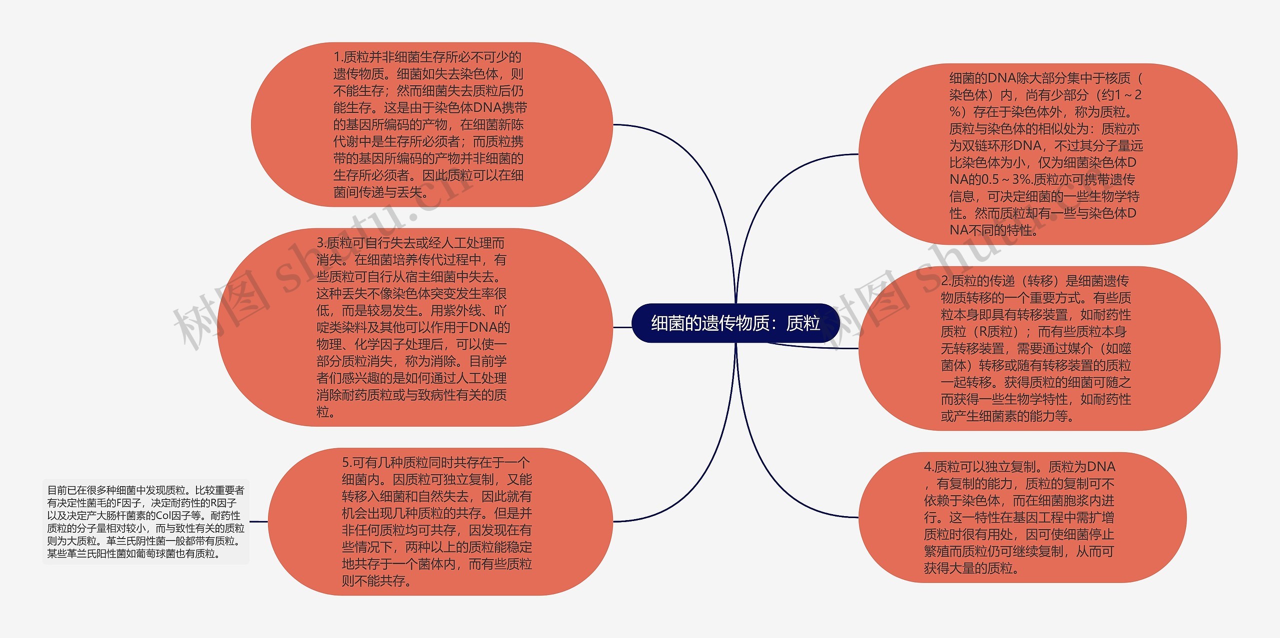 细菌的遗传物质：质粒思维导图