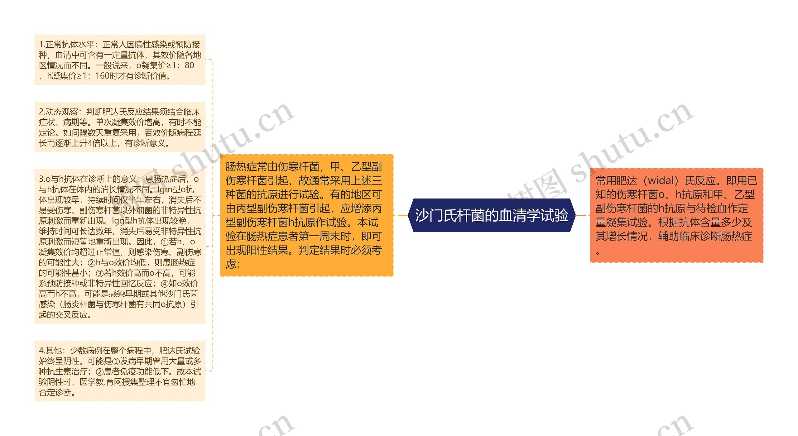 沙门氏杆菌的血清学试验 沙门氏杆菌的血清学试验