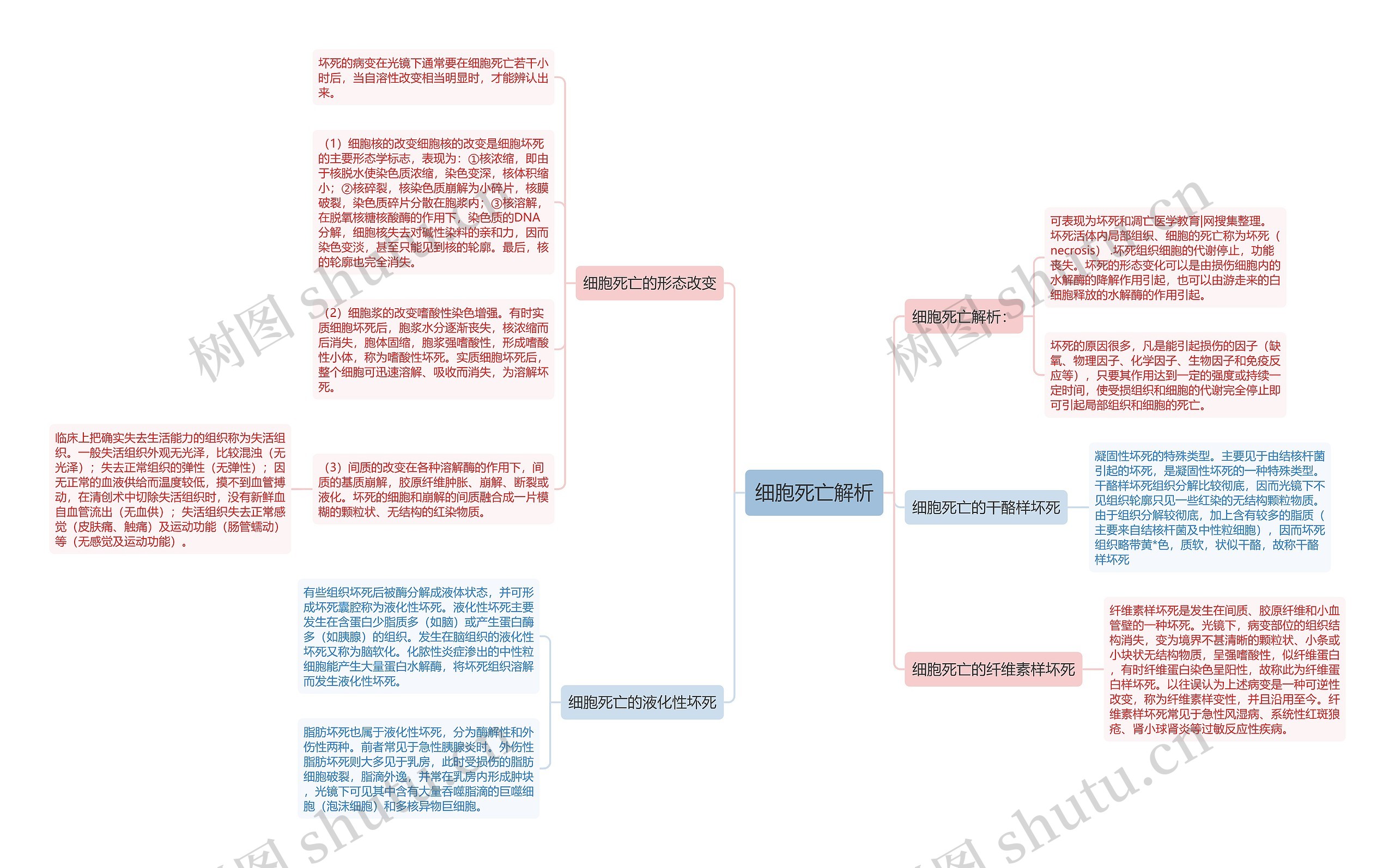 细胞死亡解析思维导图