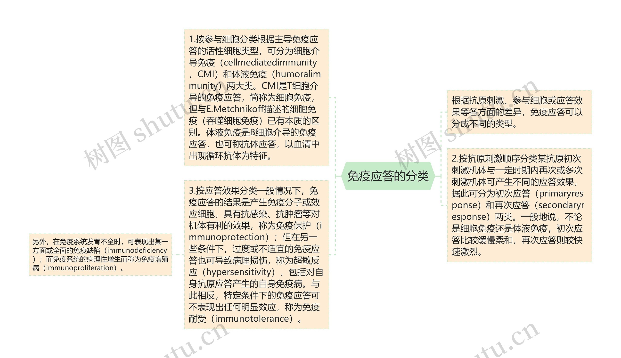 免疫应答的分类思维导图