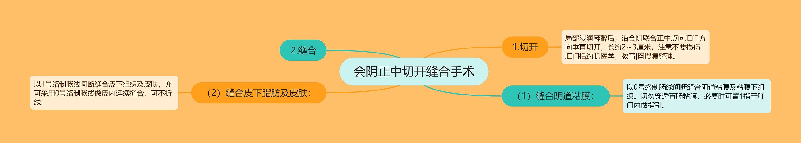 会阴正中切开缝合手术思维导图