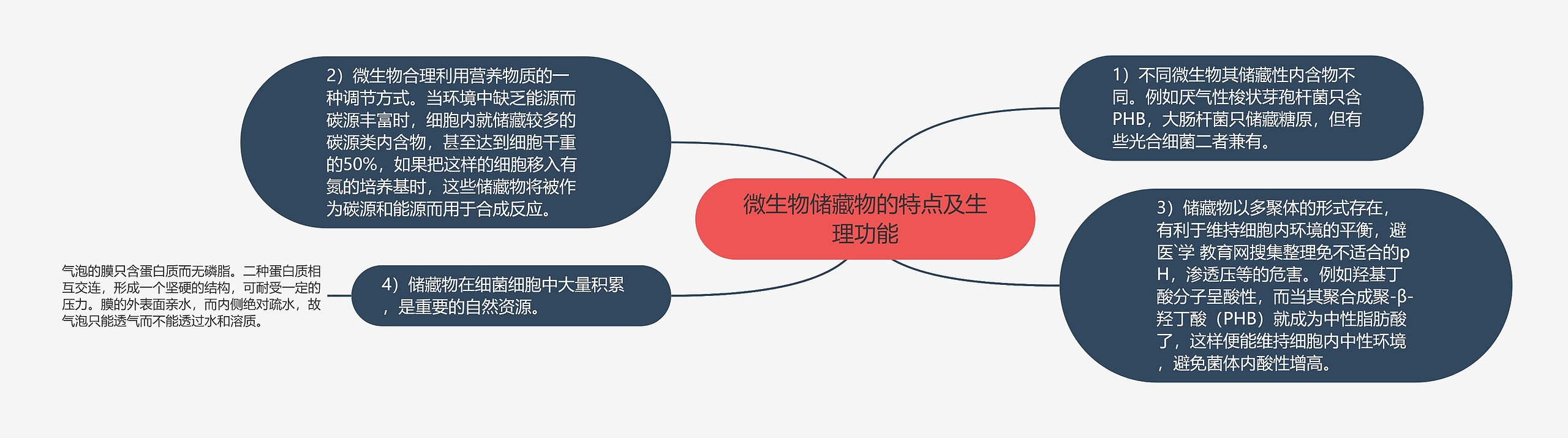 微生物储藏物的特点及生理功能思维导图