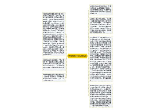 结核病病因和发病机制