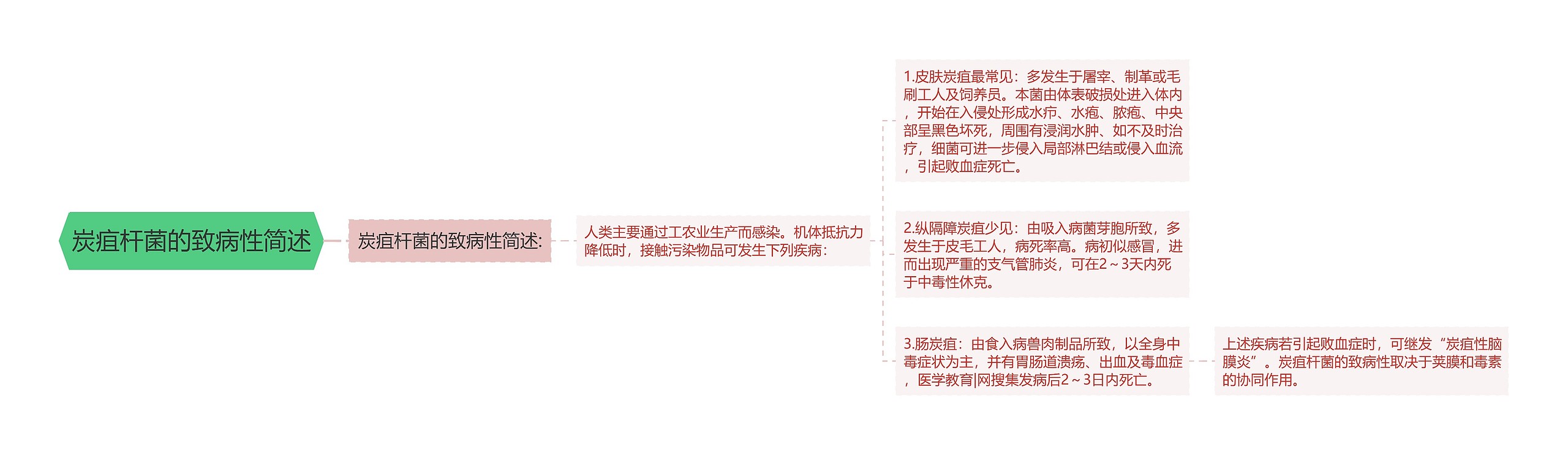 炭疽杆菌的致病性简述