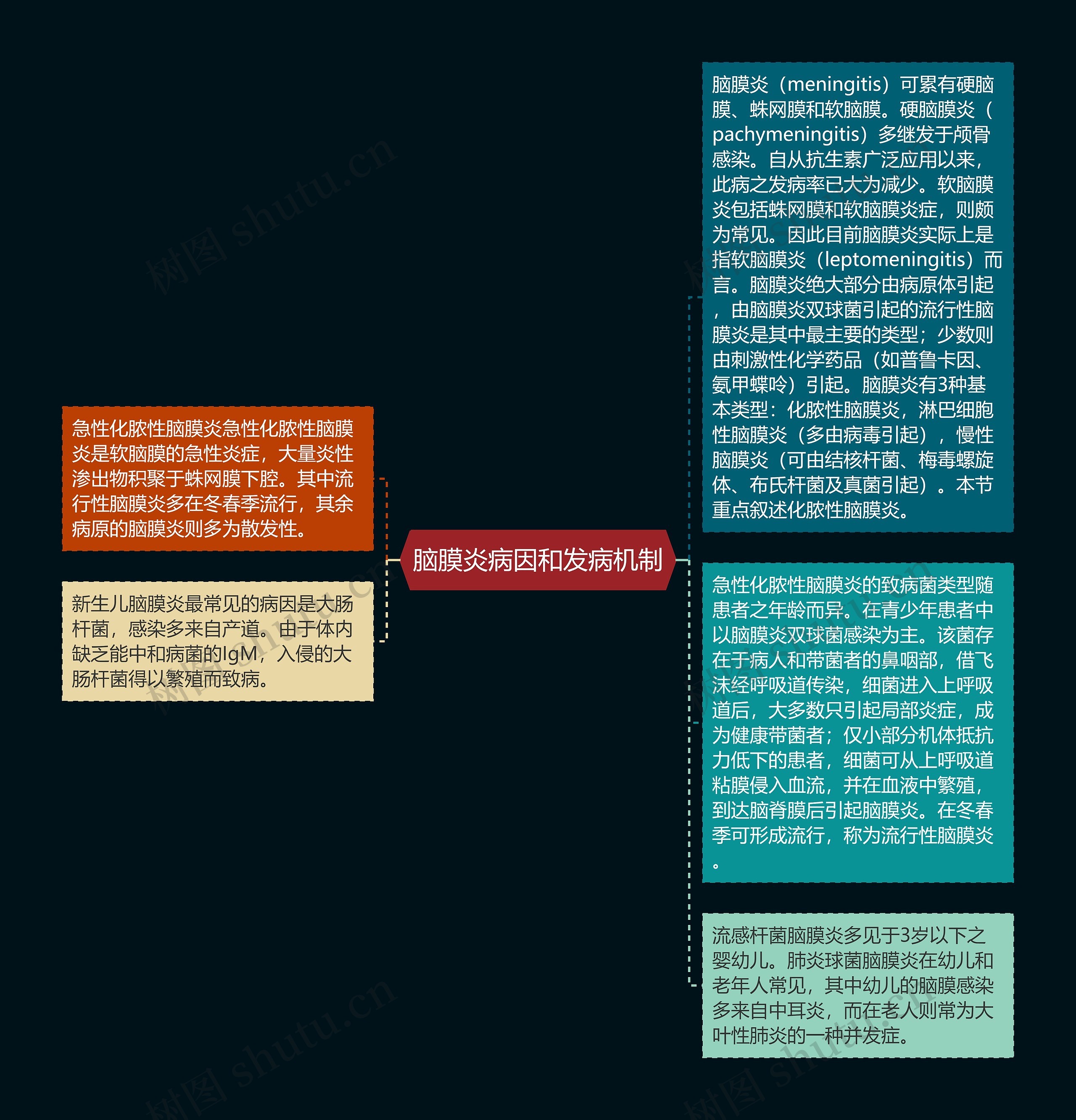 脑膜炎病因和发病机制思维导图