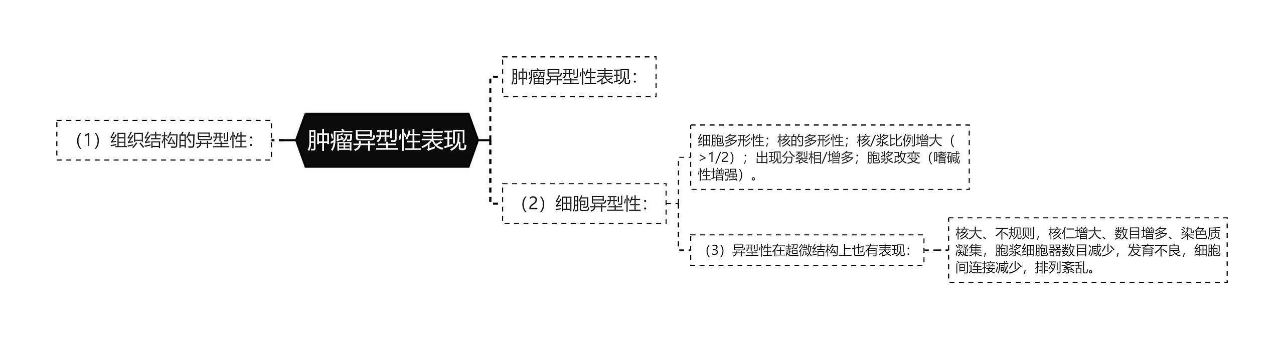 肿瘤异型性表现思维导图高清图 肿瘤异型性表现思维导图