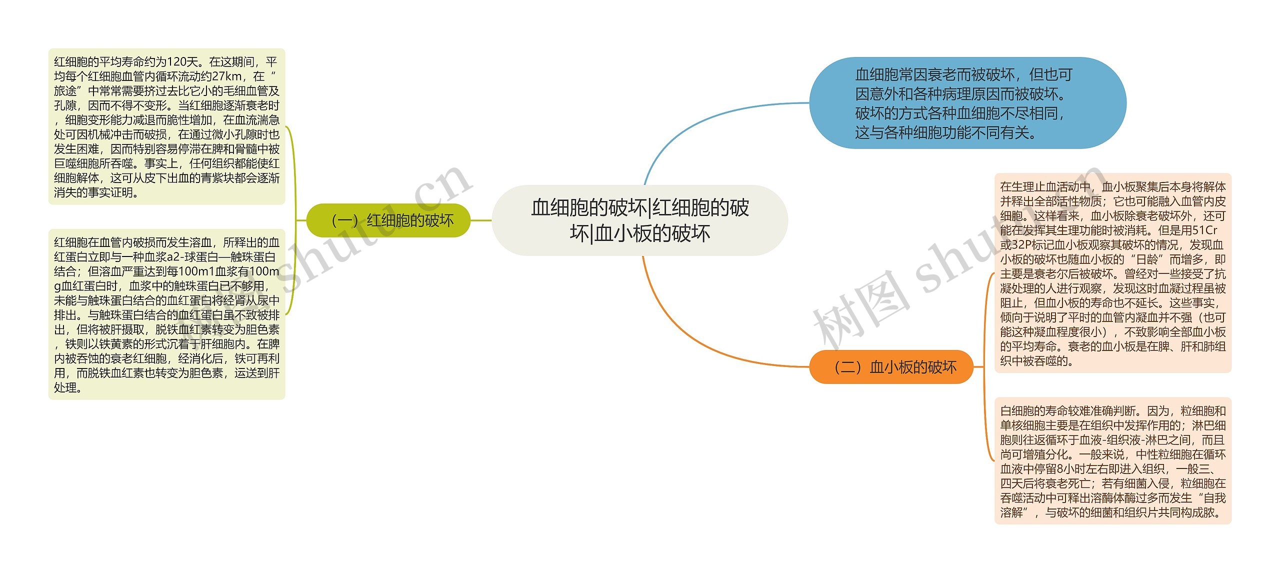 血细胞的破坏|红细胞的破坏|血小板的破坏思维导图