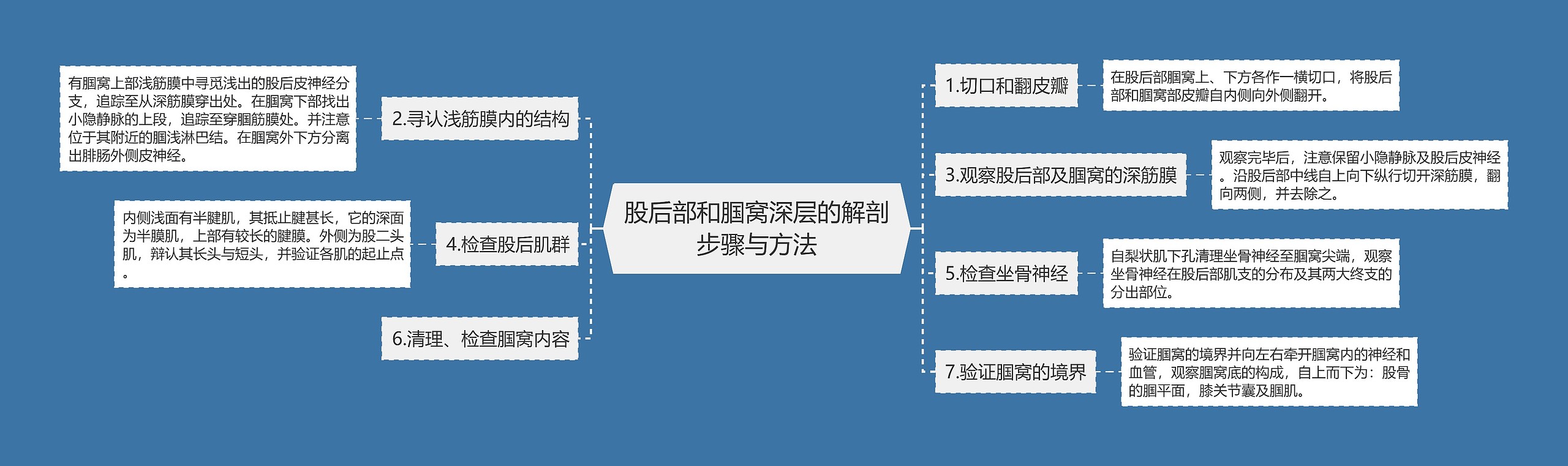 股后部和腘窝深层的解剖步骤与方法思维导图