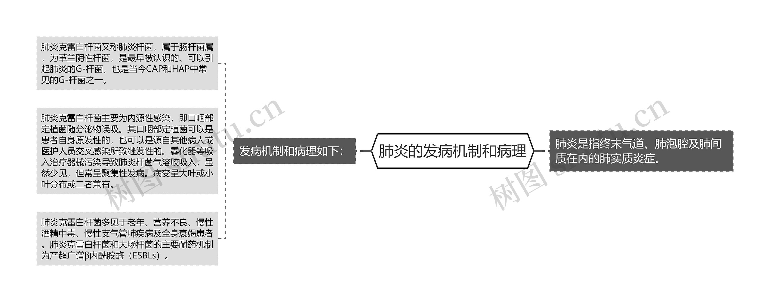 肺炎的发病机制和病理 肺炎的发病机制和病理