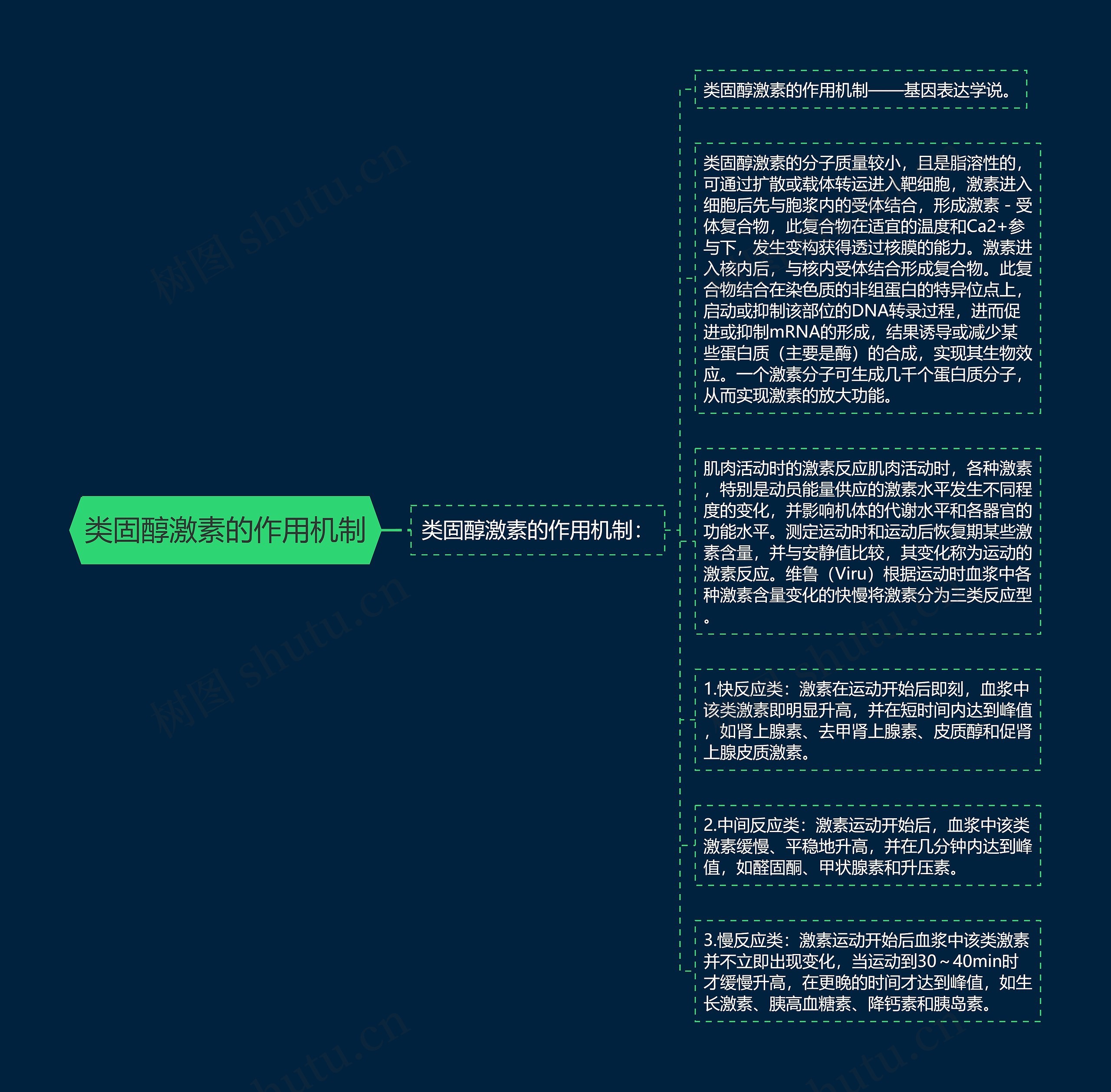 类固醇激素的作用机制