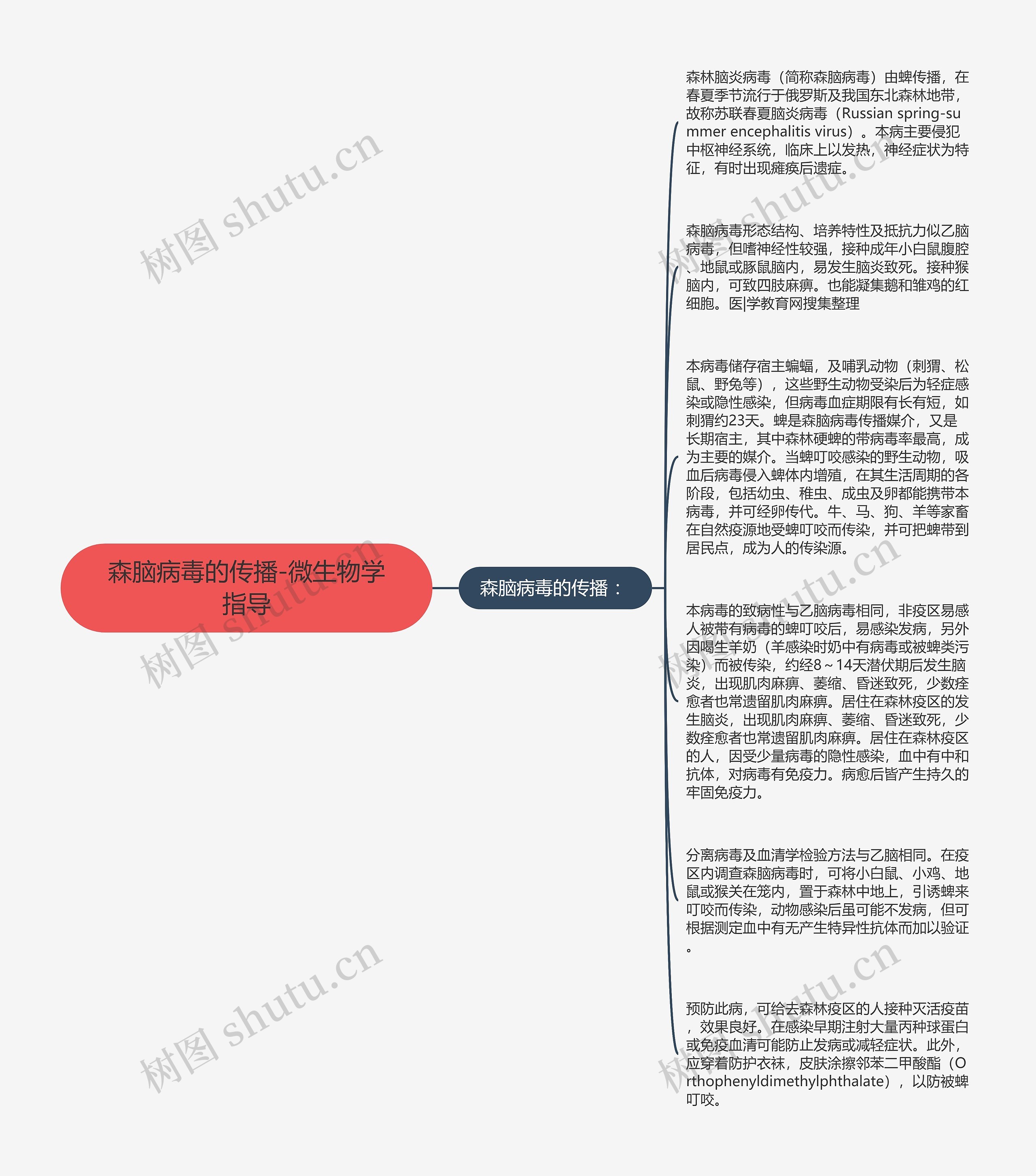 森脑病毒的传播-微生物学指导