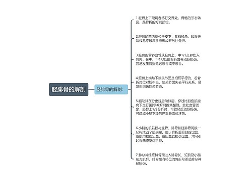 胫腓骨的解剖