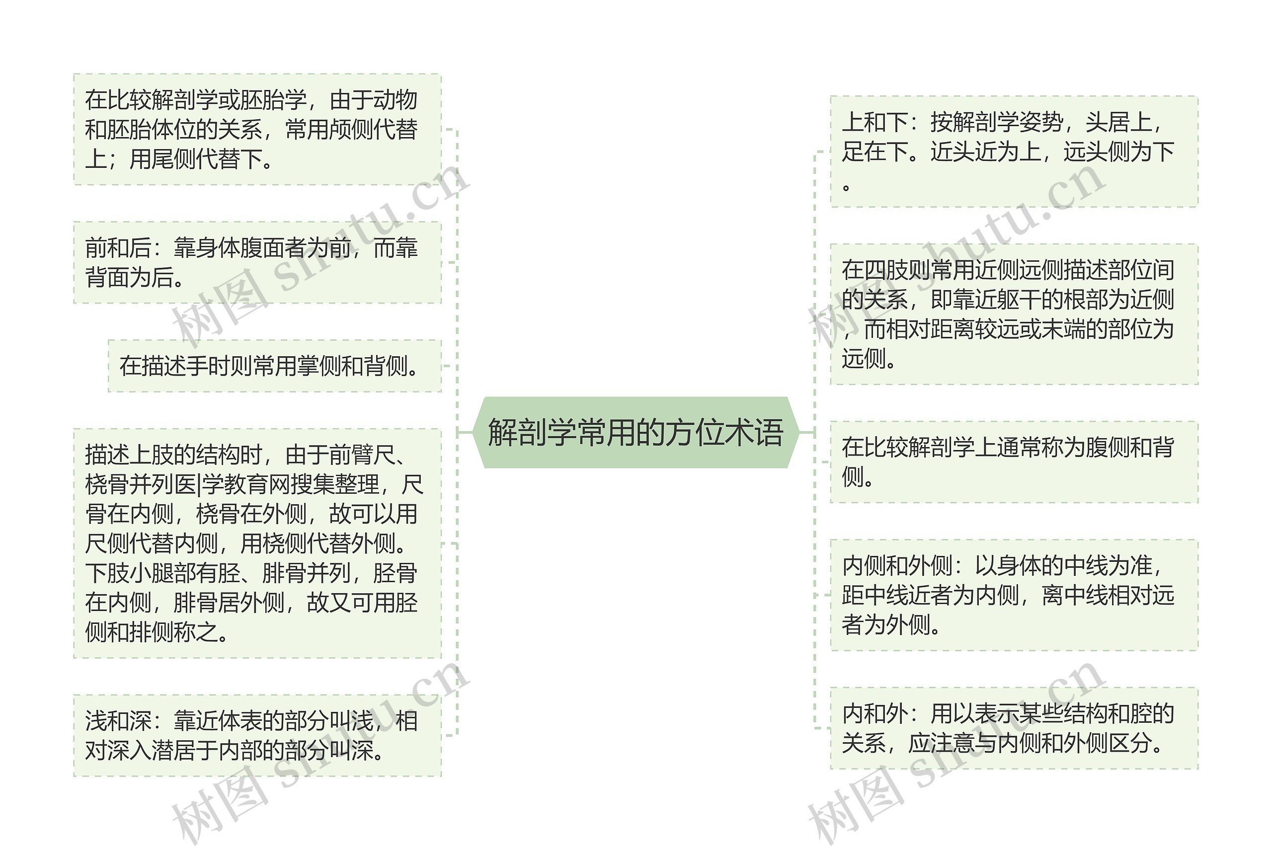 解剖学常用的方位术语思维导图