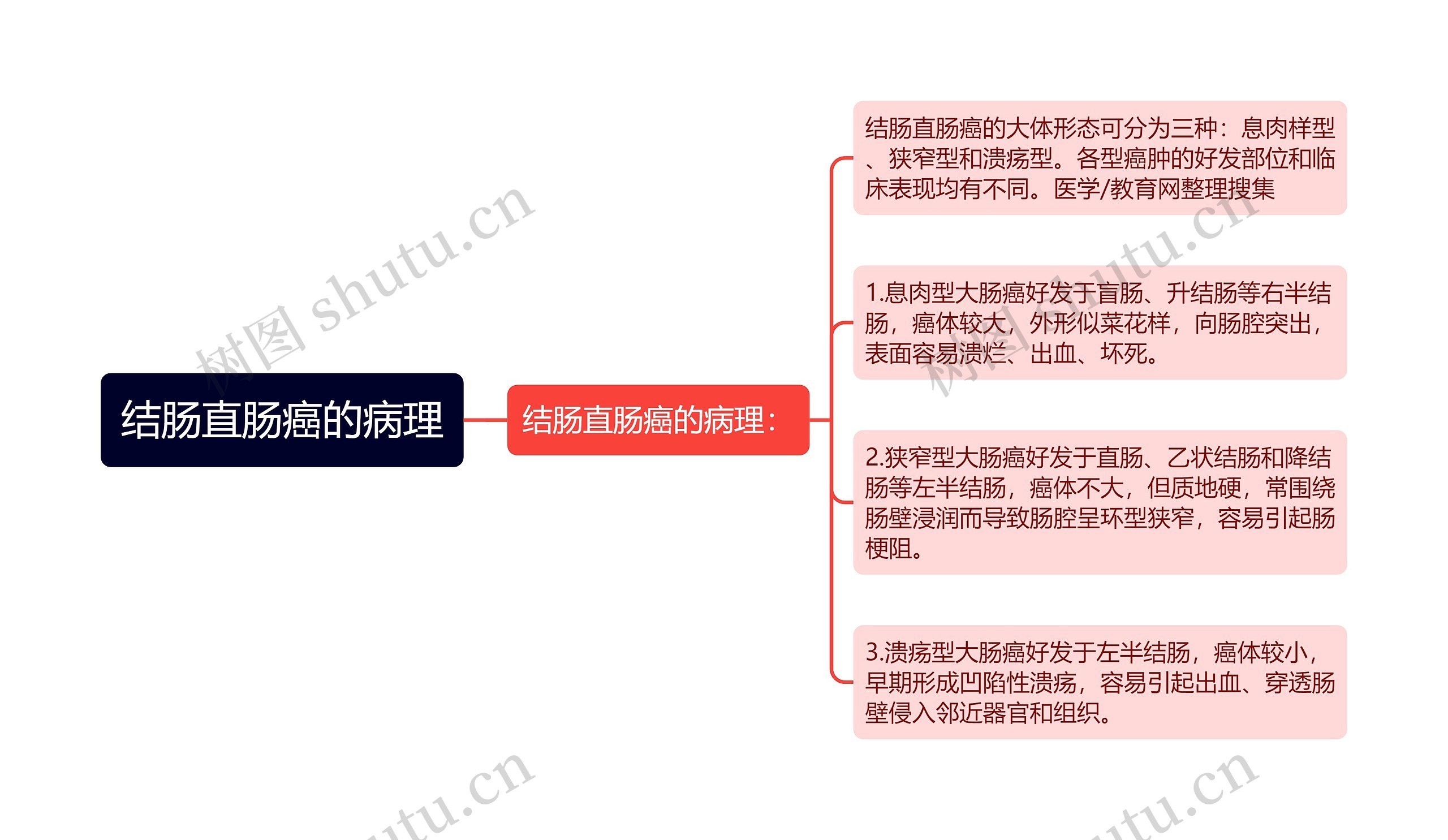 结肠直肠癌的病理思维导图