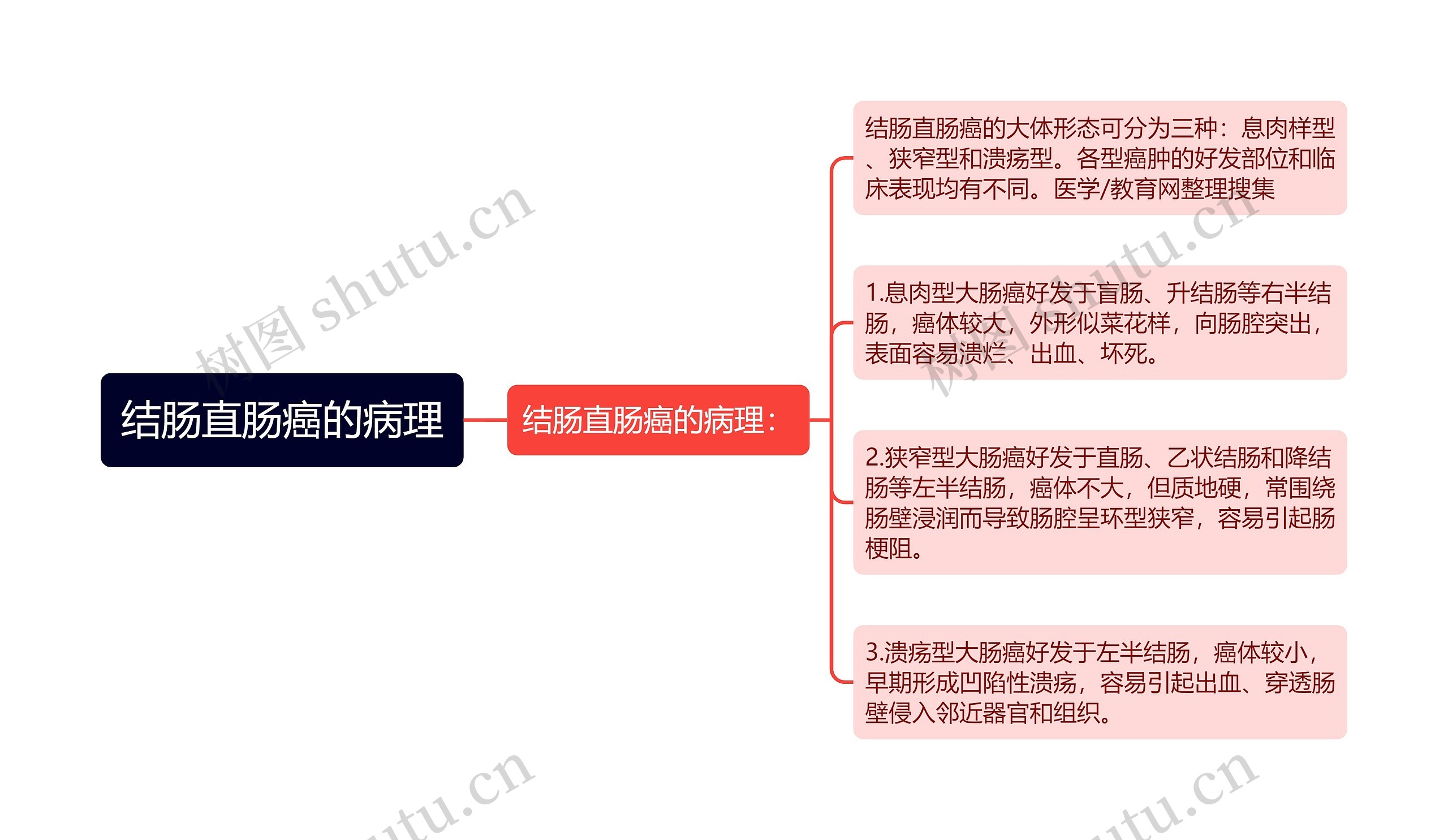 结肠直肠癌的病理 结肠直肠癌的病理