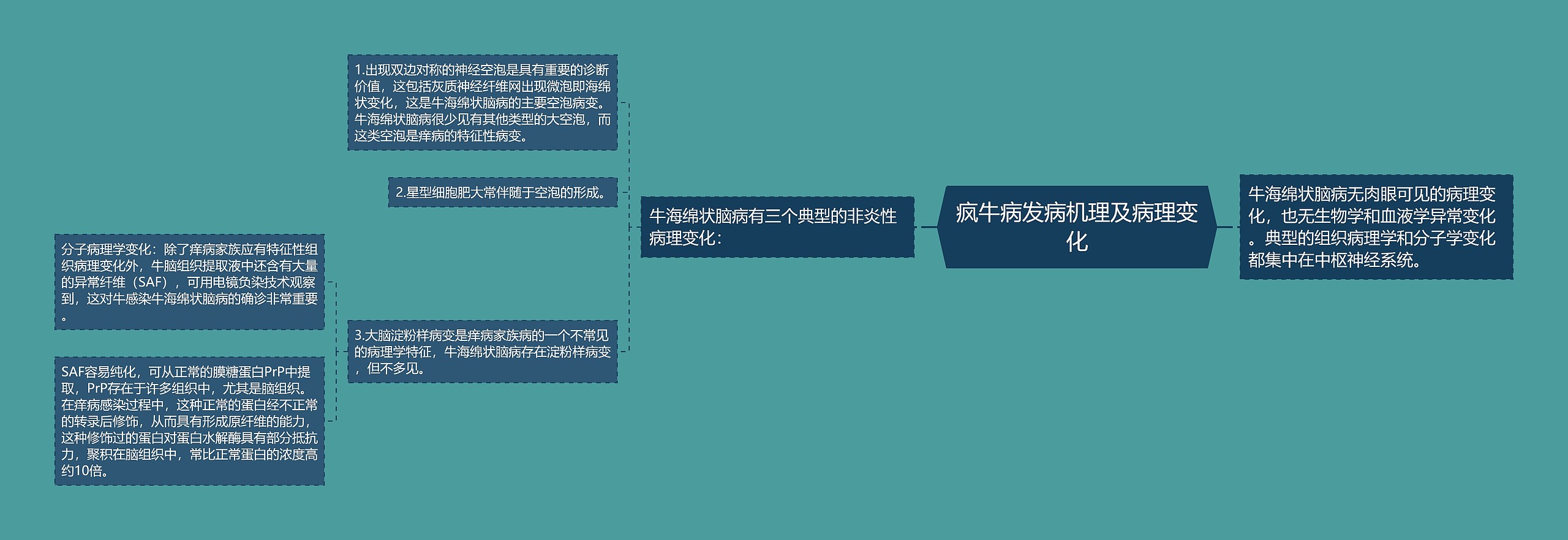 疯牛病发病机理及病理变化 疯牛病发病机理及病理变化