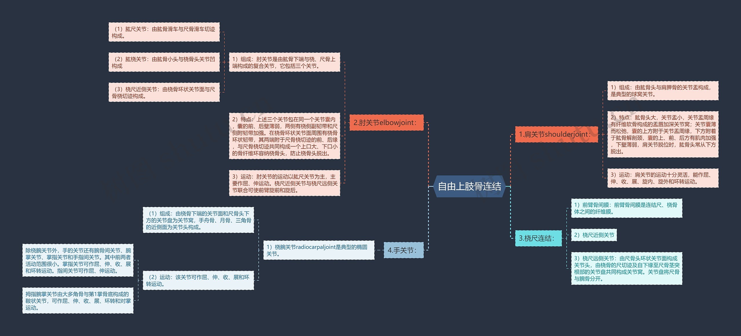 自由上肢骨连结思维导图