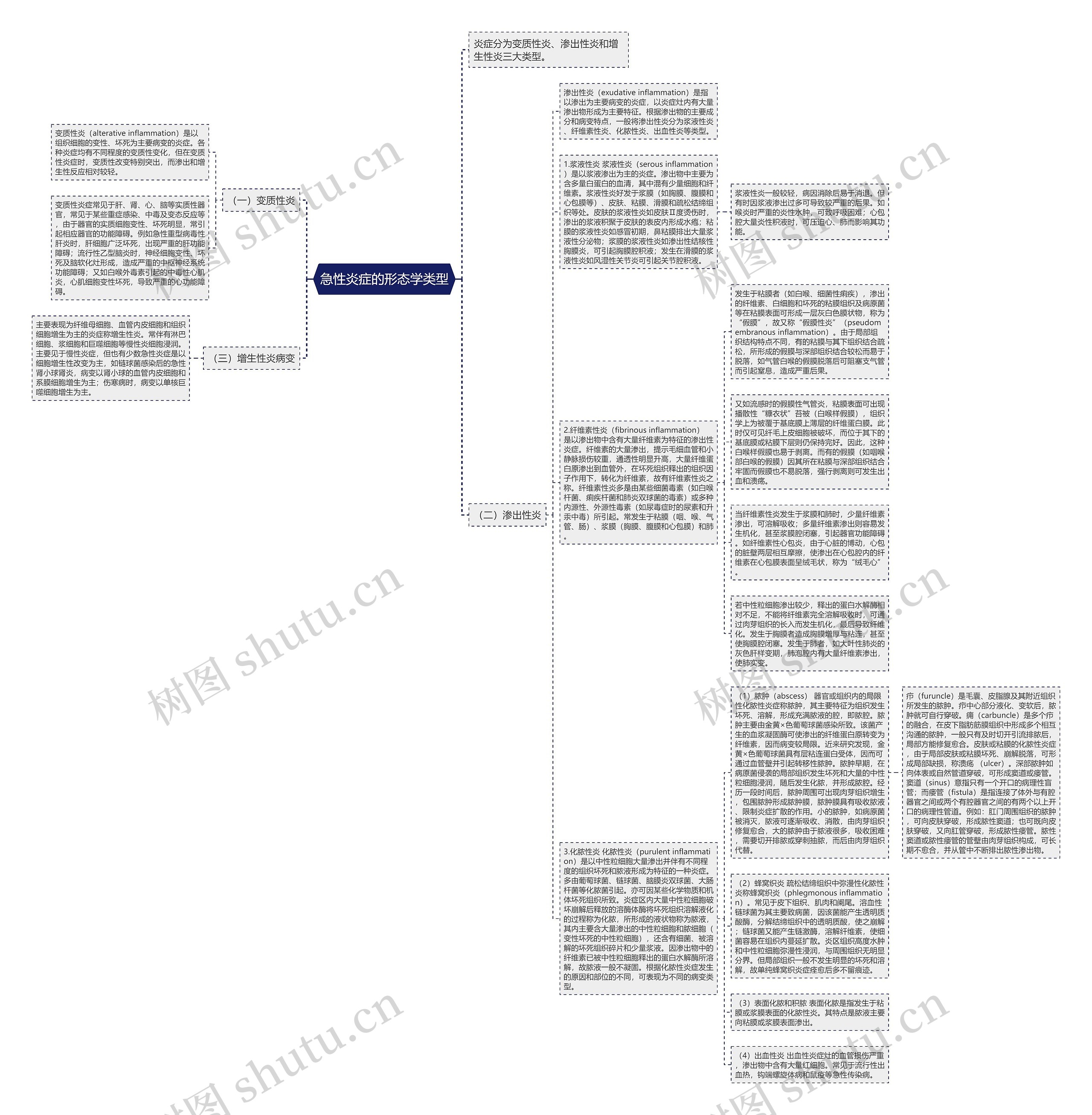 急性炎症的形态学类型思维导图