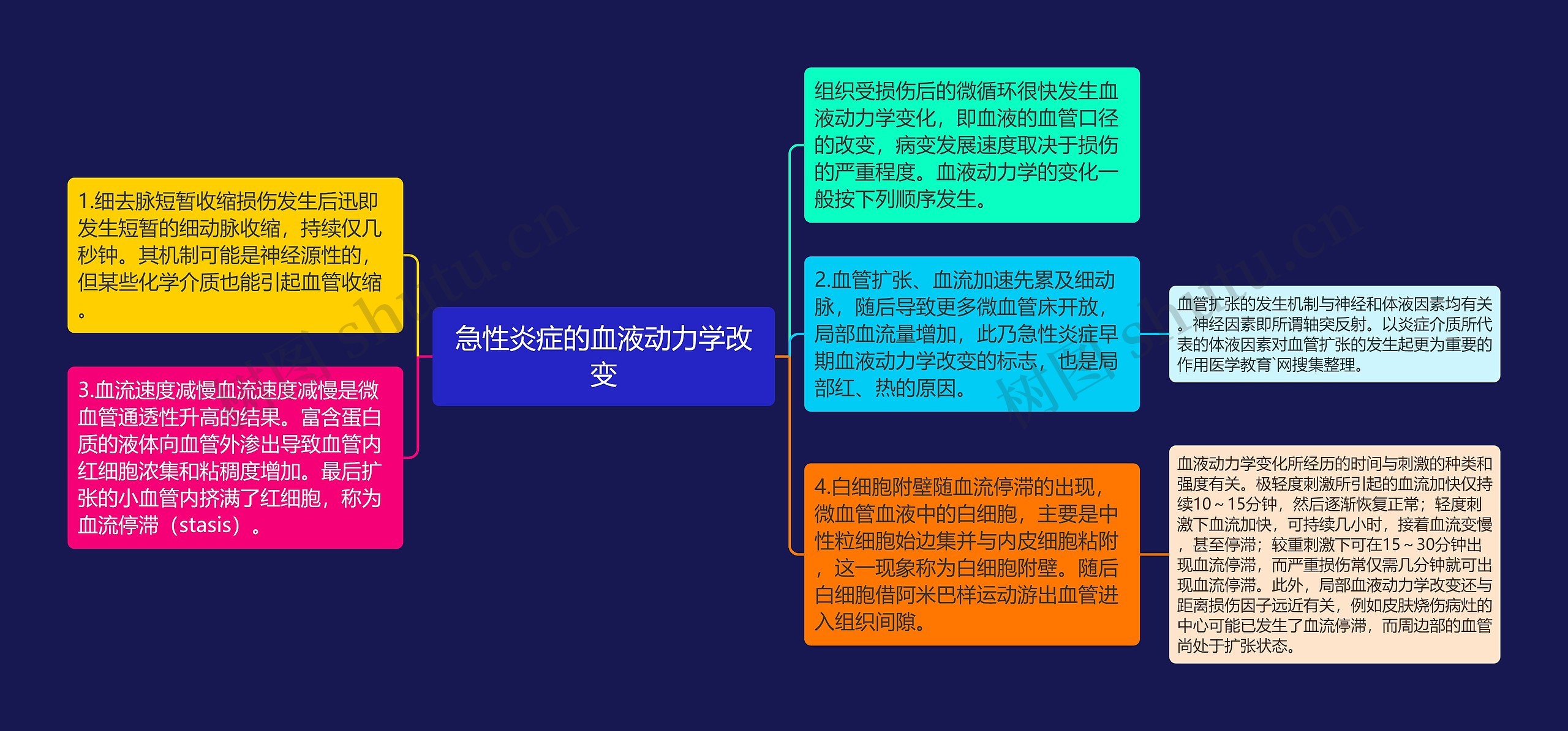 急性炎症的血液动力学改变思维导图