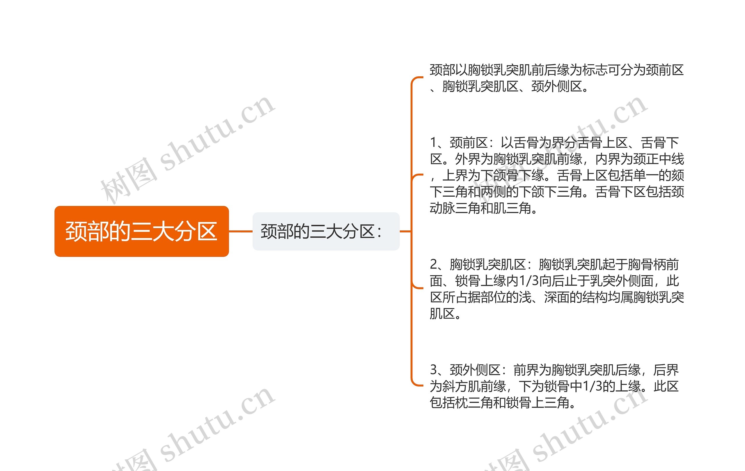 颈部的三大分区思维导图