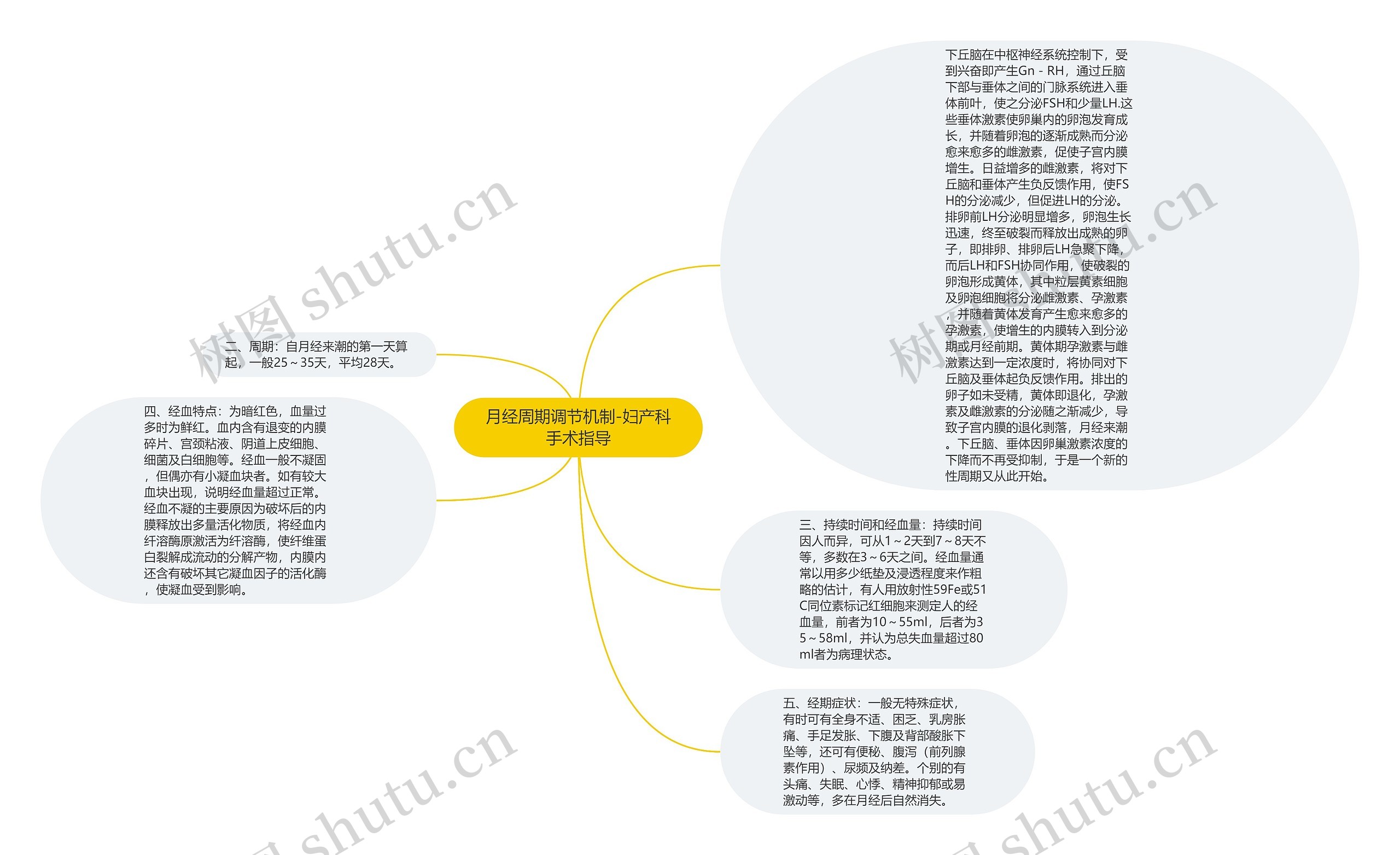 月经周期调节机制-妇产科手术指导思维导图