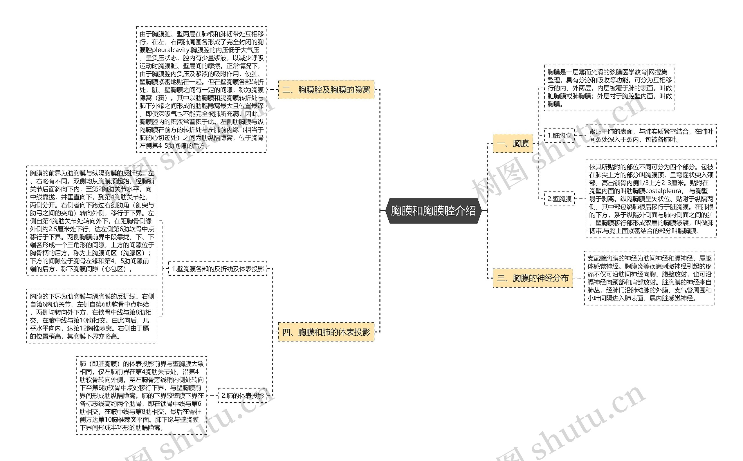 胸膜和胸膜腔介绍 胸膜和胸膜腔介绍