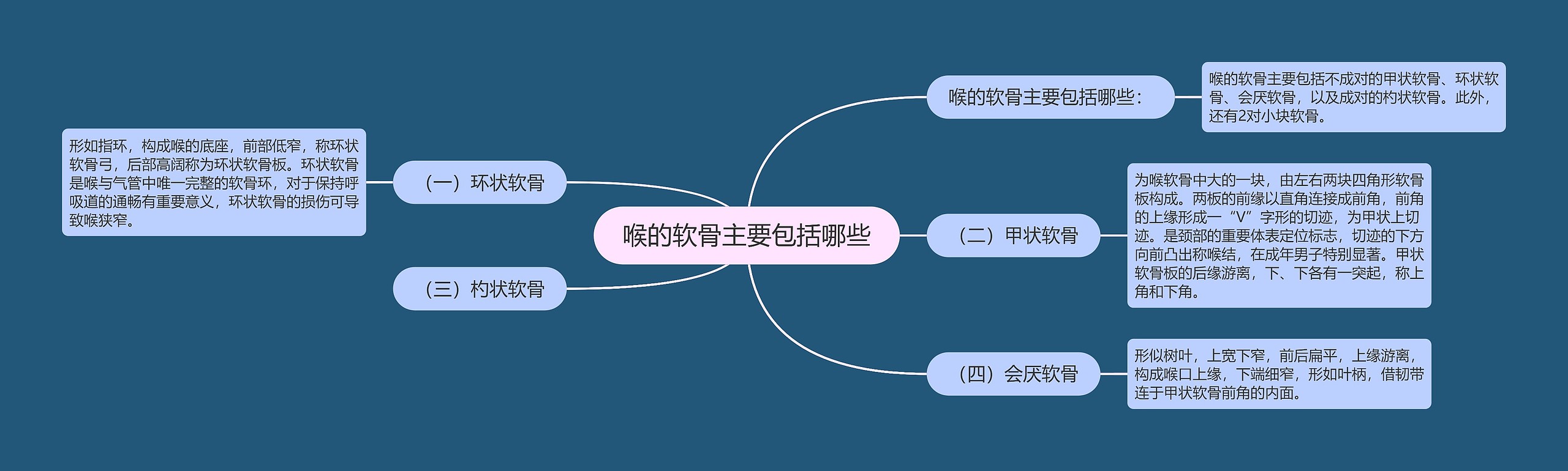 喉的软骨主要包括哪些思维导图