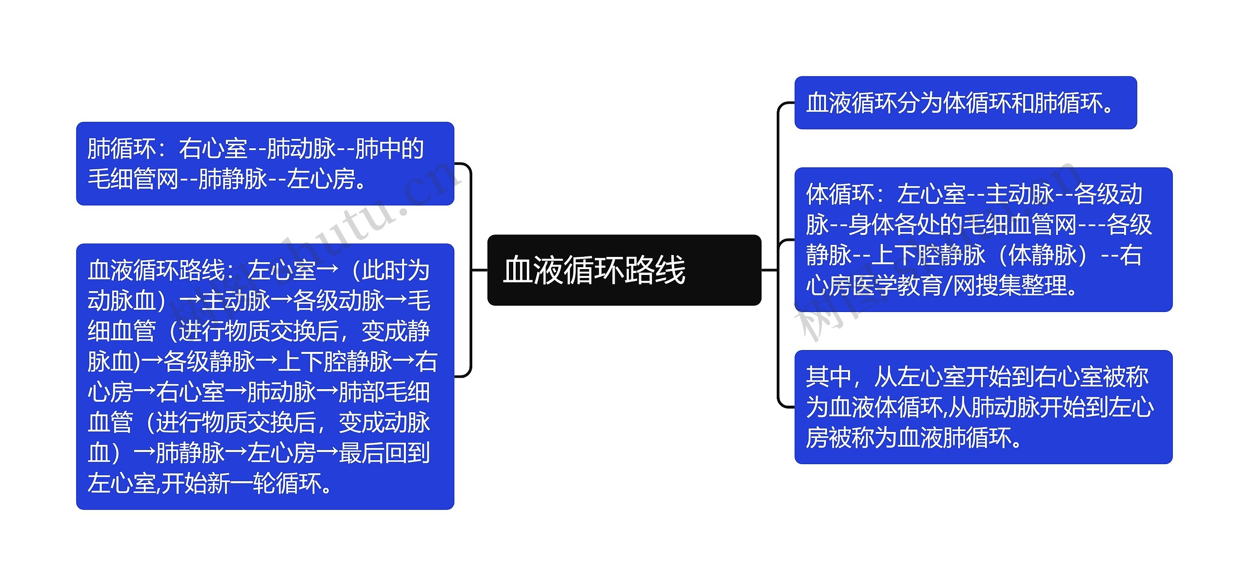 血液循环路线　　思维导图