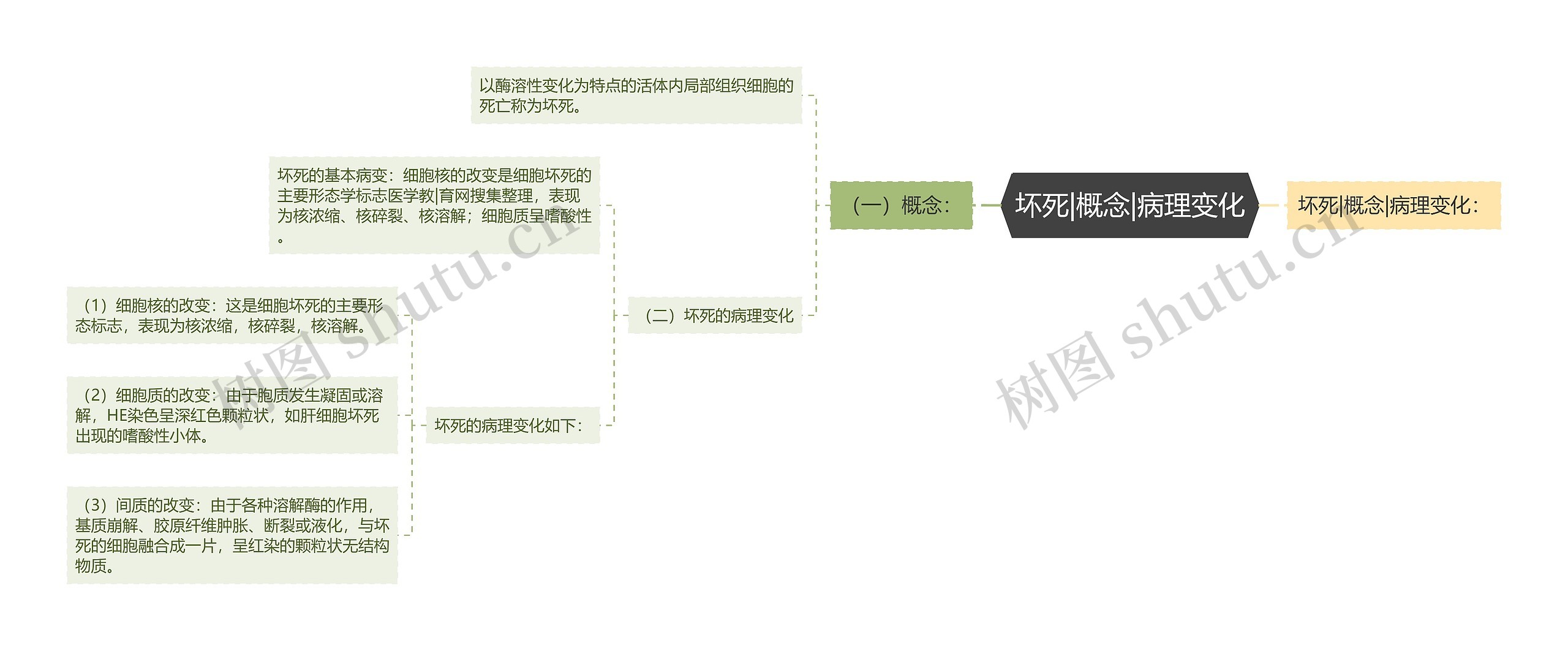 坏死|概念|病理变化思维导图