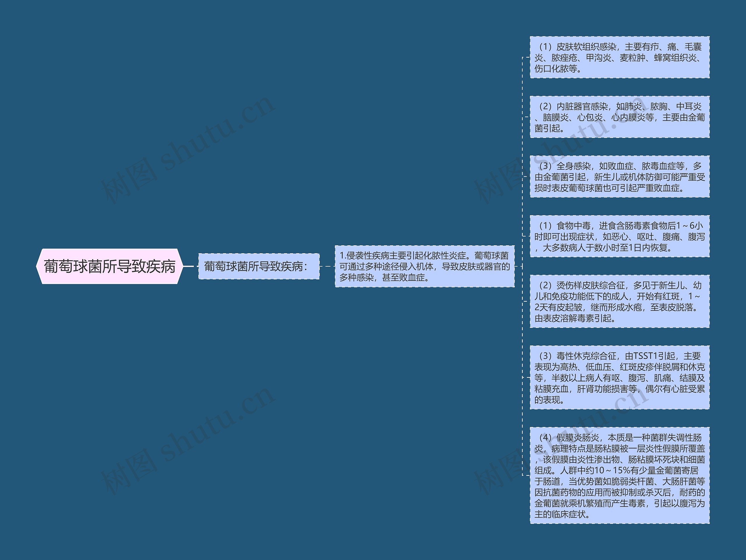 葡萄球菌所导致疾病思维导图