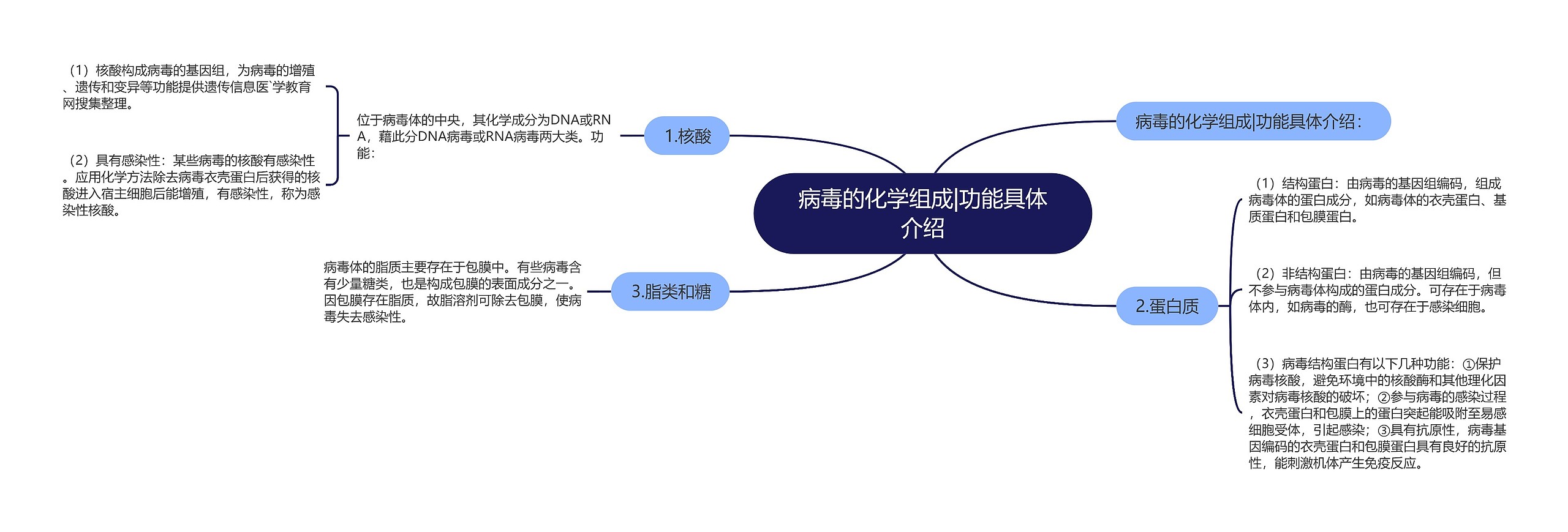 病毒的化学组成|功能具体介绍