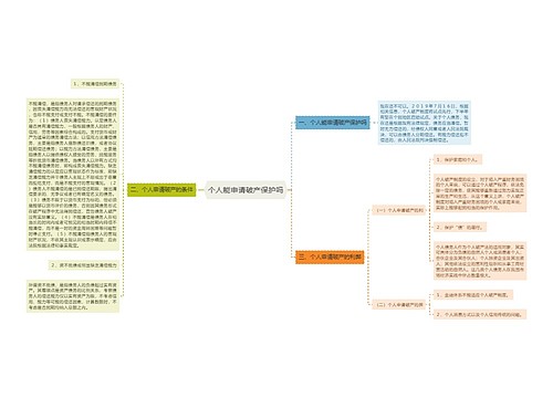 个人能申请破产保护吗