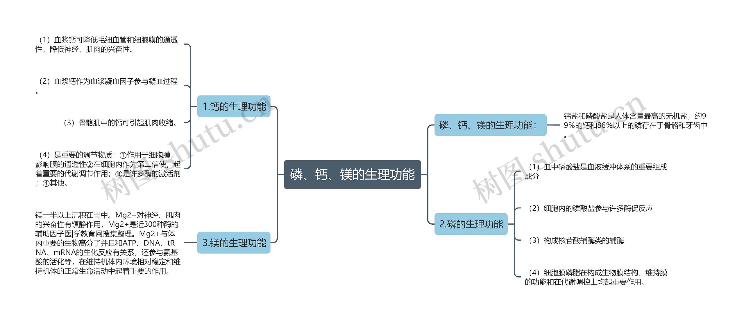 磷、钙、镁的生理功能思维导图