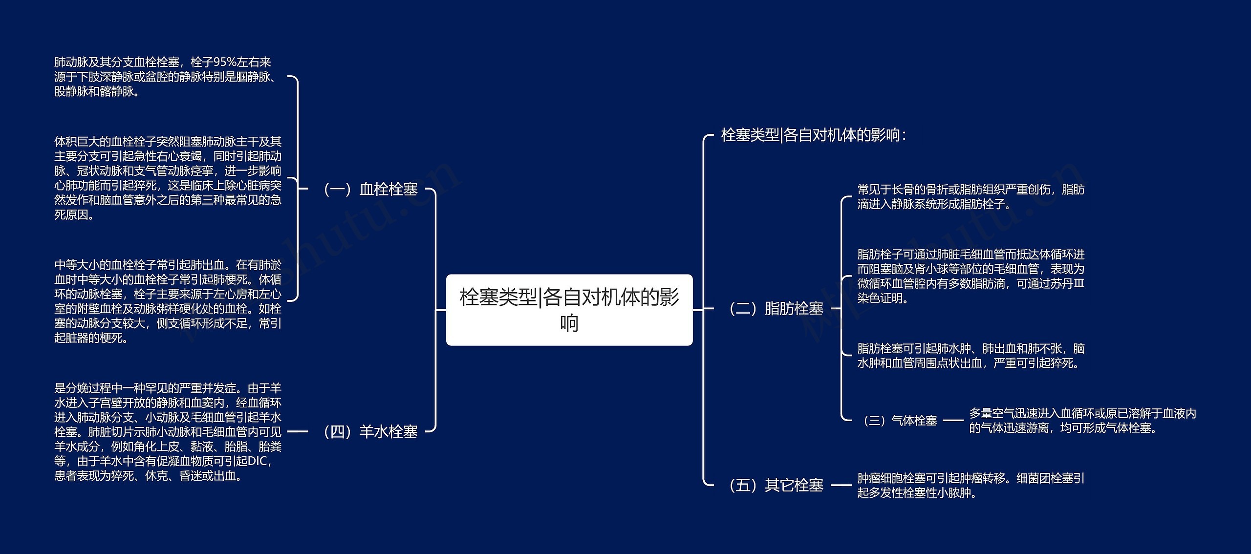 栓塞类型|各自对机体的影响思维导图