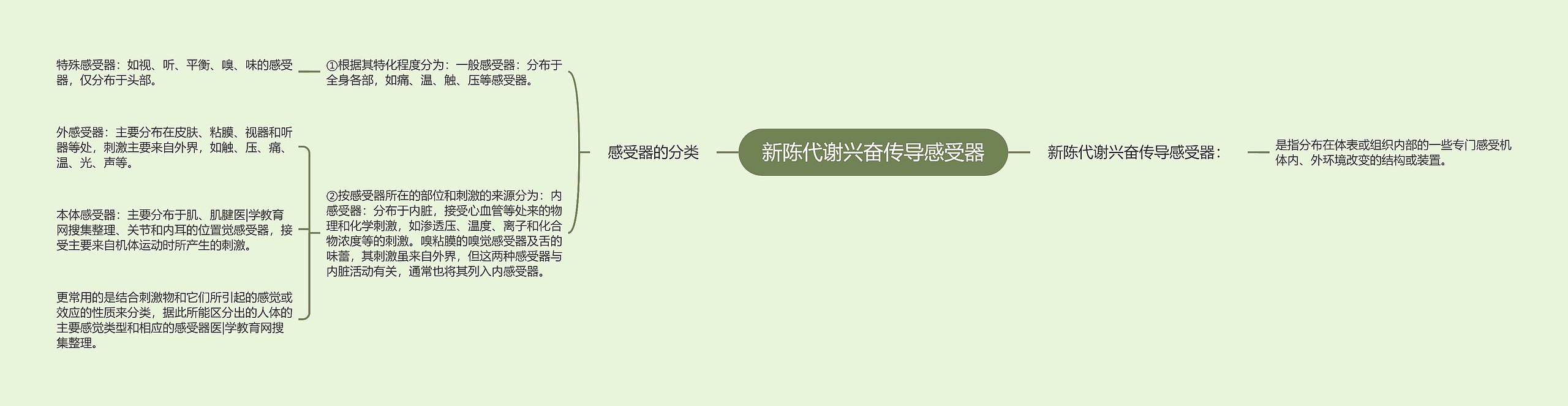 新陈代谢兴奋传导感受器